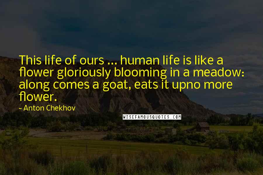 Anton Chekhov Quotes: This life of ours ... human life is like a flower gloriously blooming in a meadow: along comes a goat, eats it upno more flower.