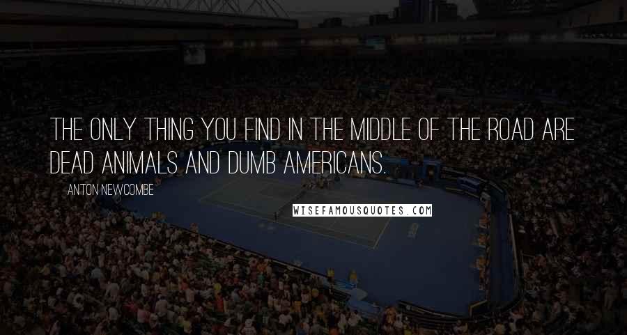 Anton Newcombe Quotes: The only thing you find in the middle of the road are dead animals and dumb Americans.