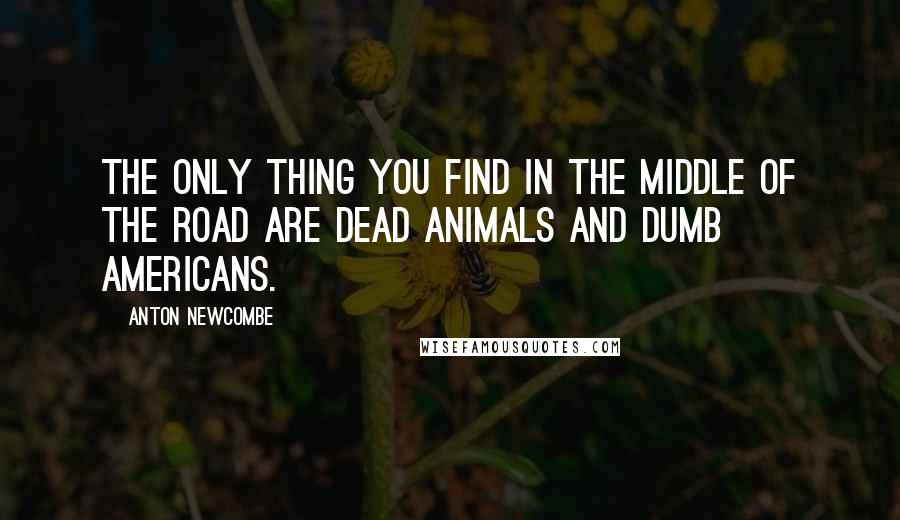 Anton Newcombe Quotes: The only thing you find in the middle of the road are dead animals and dumb Americans.