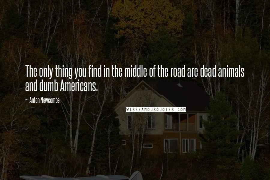 Anton Newcombe Quotes: The only thing you find in the middle of the road are dead animals and dumb Americans.