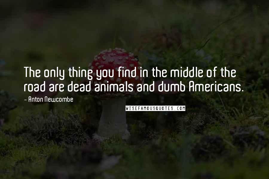 Anton Newcombe Quotes: The only thing you find in the middle of the road are dead animals and dumb Americans.