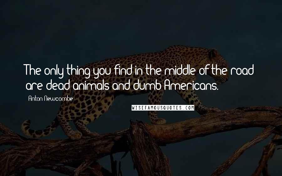 Anton Newcombe Quotes: The only thing you find in the middle of the road are dead animals and dumb Americans.
