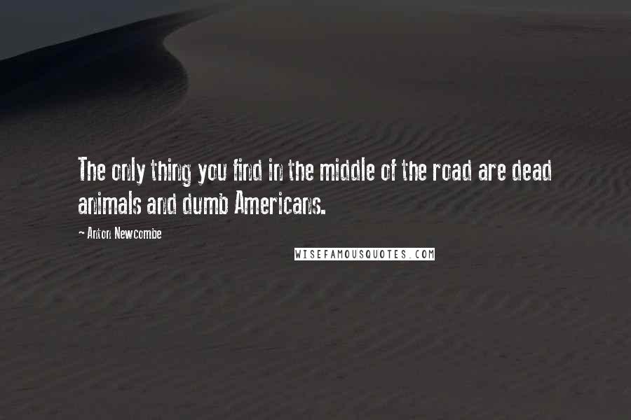 Anton Newcombe Quotes: The only thing you find in the middle of the road are dead animals and dumb Americans.