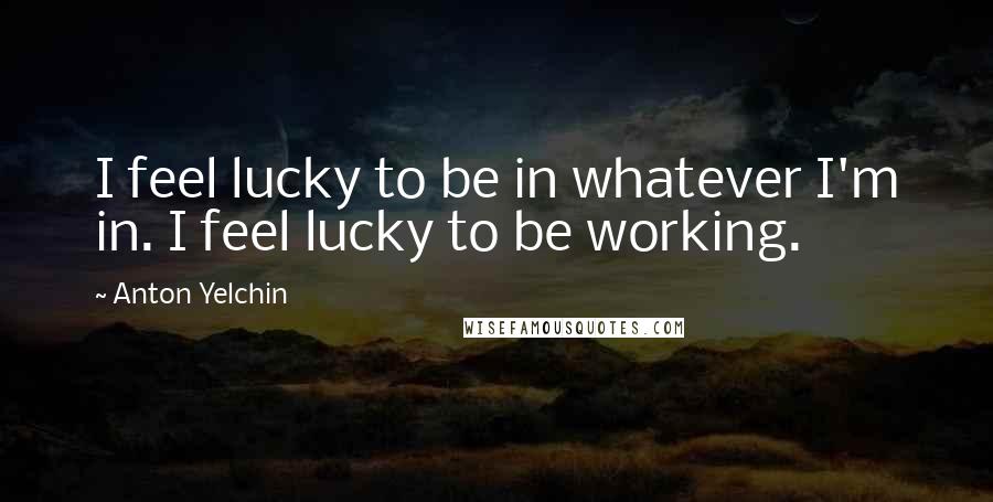 Anton Yelchin Quotes: I feel lucky to be in whatever I'm in. I feel lucky to be working.