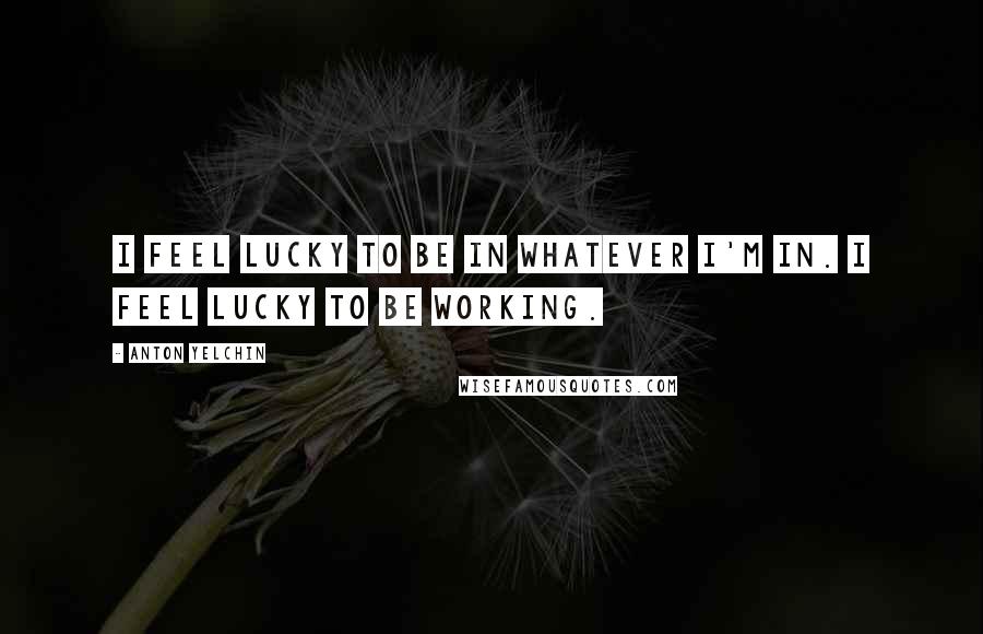 Anton Yelchin Quotes: I feel lucky to be in whatever I'm in. I feel lucky to be working.