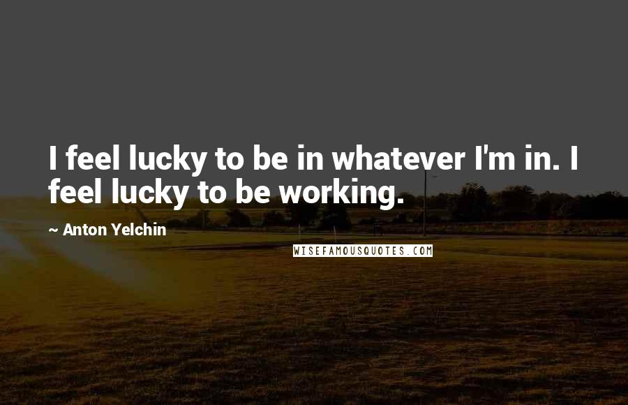 Anton Yelchin Quotes: I feel lucky to be in whatever I'm in. I feel lucky to be working.