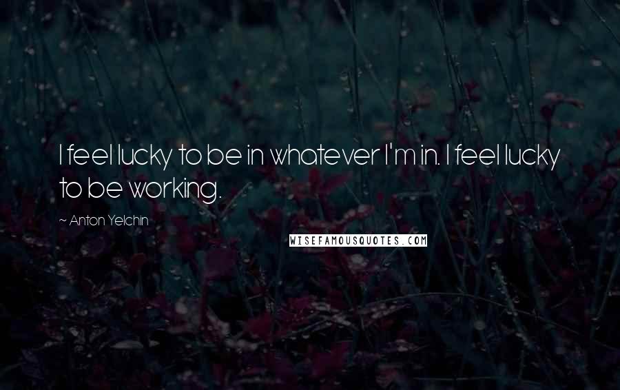 Anton Yelchin Quotes: I feel lucky to be in whatever I'm in. I feel lucky to be working.