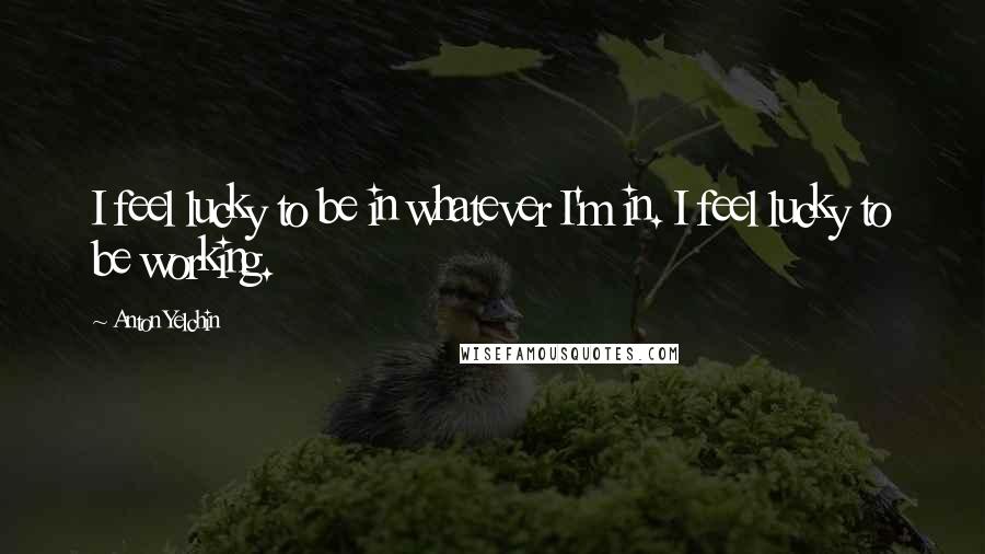 Anton Yelchin Quotes: I feel lucky to be in whatever I'm in. I feel lucky to be working.