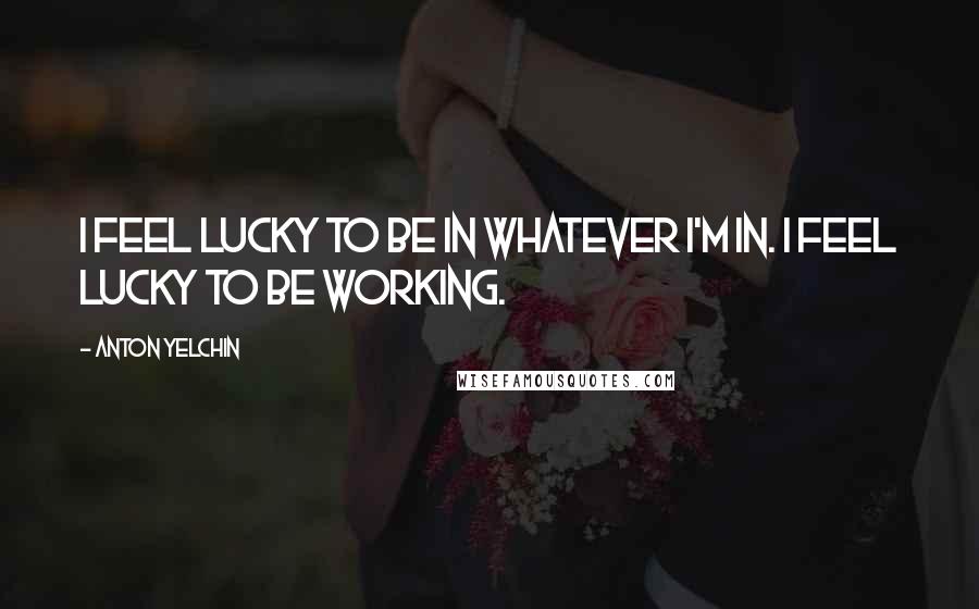 Anton Yelchin Quotes: I feel lucky to be in whatever I'm in. I feel lucky to be working.