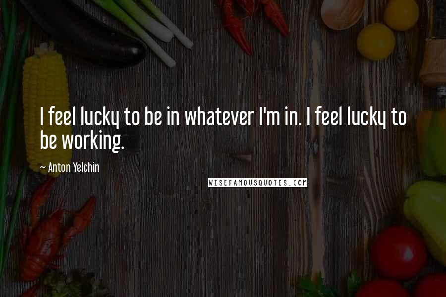 Anton Yelchin Quotes: I feel lucky to be in whatever I'm in. I feel lucky to be working.