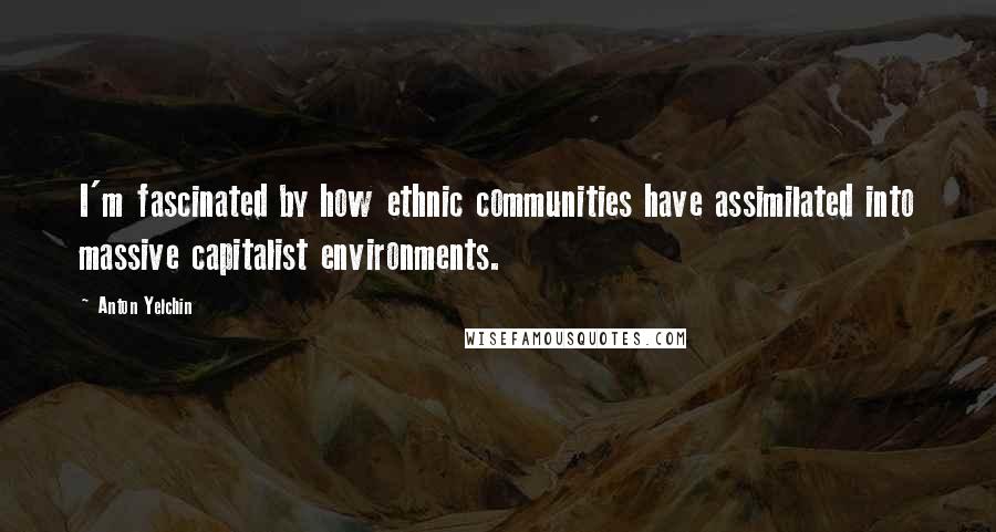Anton Yelchin Quotes: I'm fascinated by how ethnic communities have assimilated into massive capitalist environments.