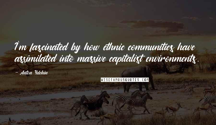 Anton Yelchin Quotes: I'm fascinated by how ethnic communities have assimilated into massive capitalist environments.