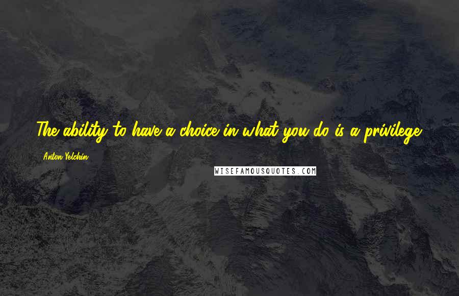 Anton Yelchin Quotes: The ability to have a choice in what you do is a privilege.