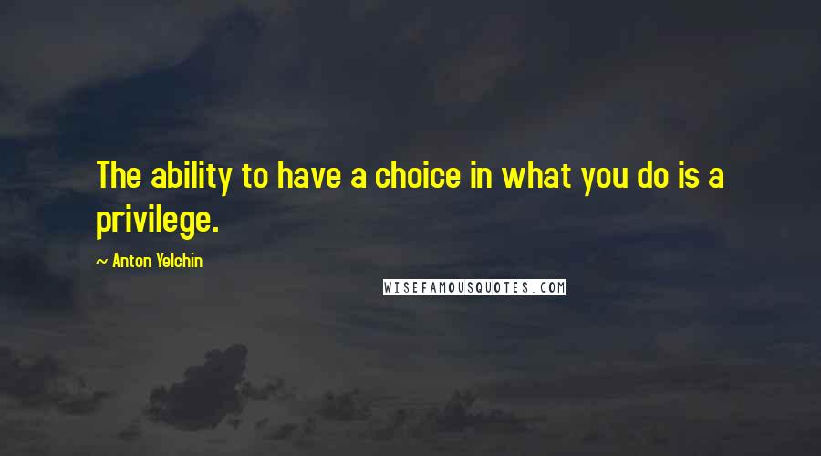 Anton Yelchin Quotes: The ability to have a choice in what you do is a privilege.