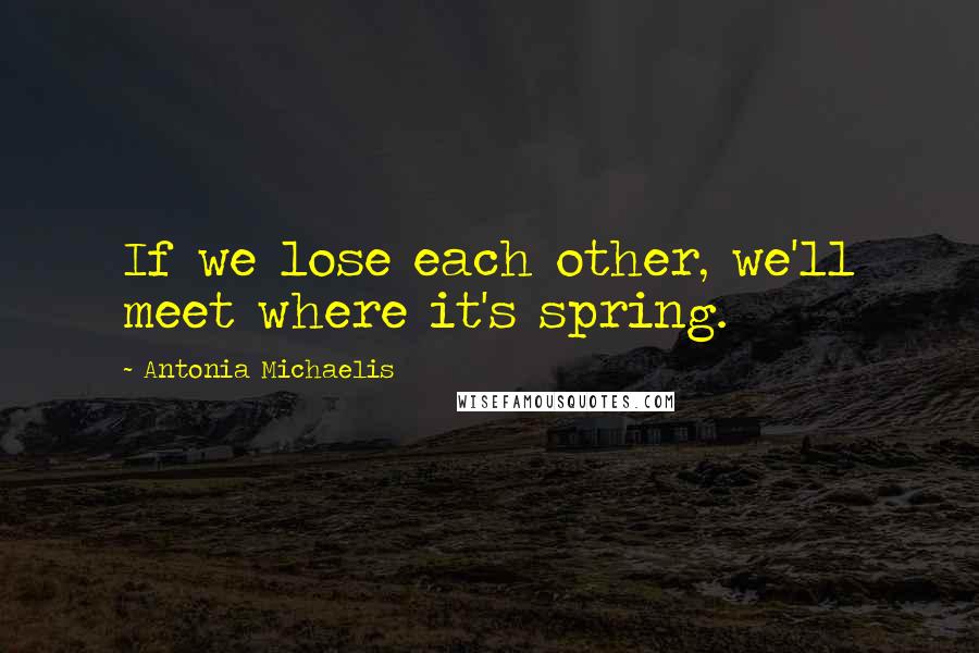 Antonia Michaelis Quotes: If we lose each other, we'll meet where it's spring.