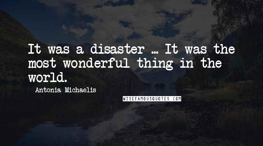 Antonia Michaelis Quotes: It was a disaster ... It was the most wonderful thing in the world.