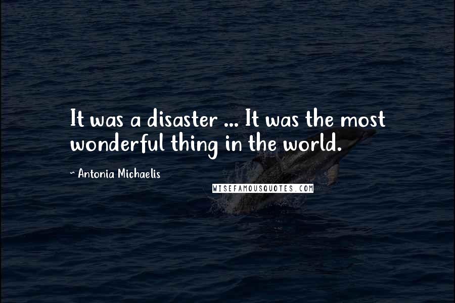 Antonia Michaelis Quotes: It was a disaster ... It was the most wonderful thing in the world.