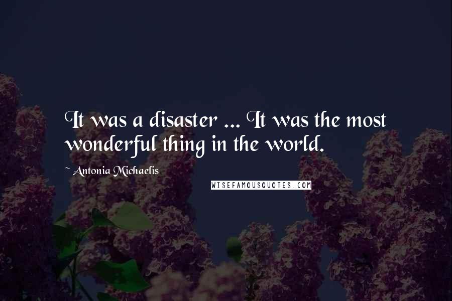 Antonia Michaelis Quotes: It was a disaster ... It was the most wonderful thing in the world.