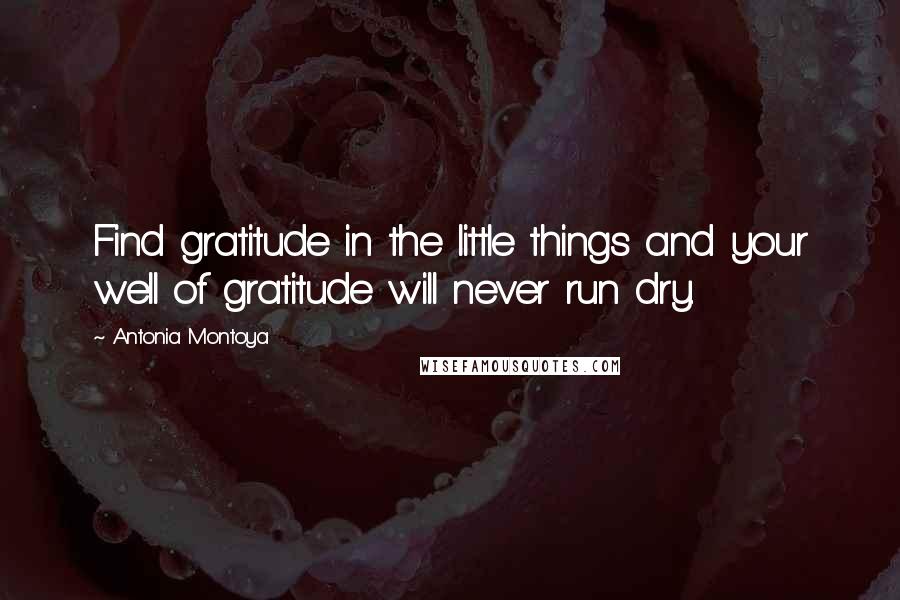 Antonia Montoya Quotes: Find gratitude in the little things and your well of gratitude will never run dry.