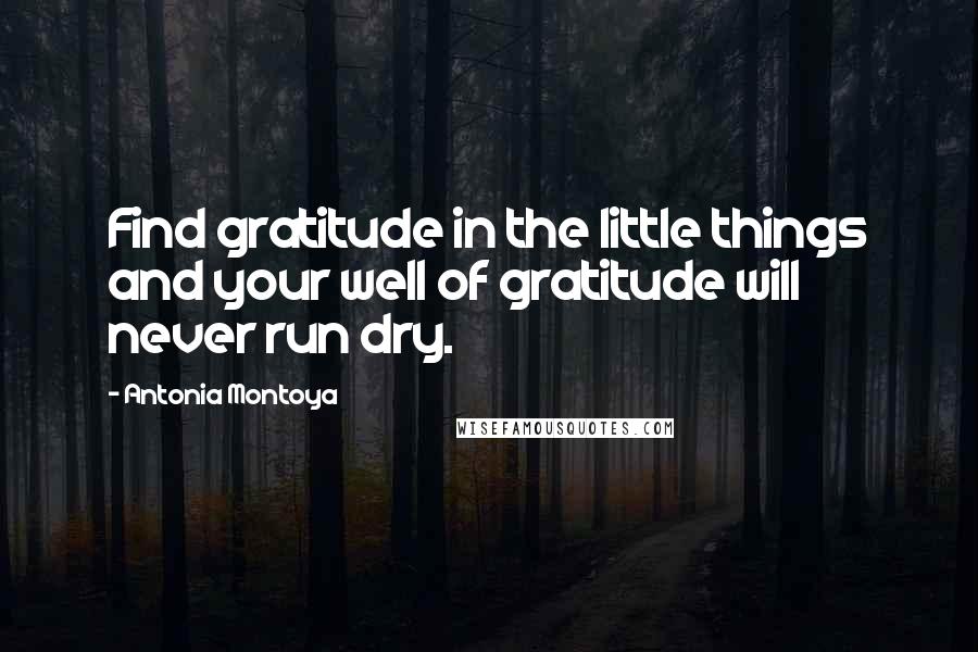 Antonia Montoya Quotes: Find gratitude in the little things and your well of gratitude will never run dry.