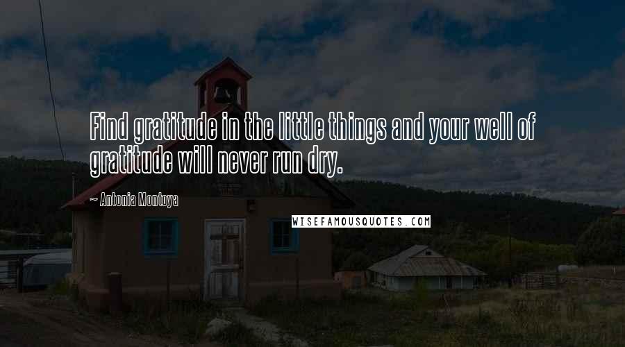 Antonia Montoya Quotes: Find gratitude in the little things and your well of gratitude will never run dry.