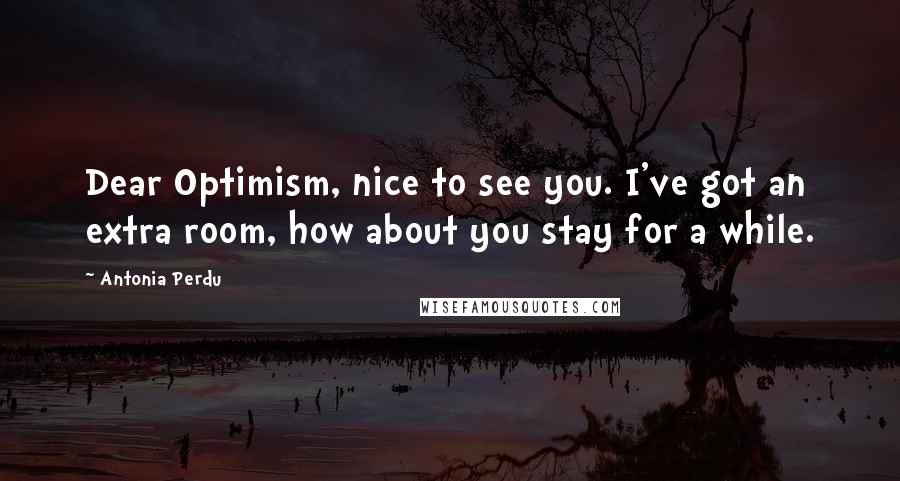 Antonia Perdu Quotes: Dear Optimism, nice to see you. I've got an extra room, how about you stay for a while.