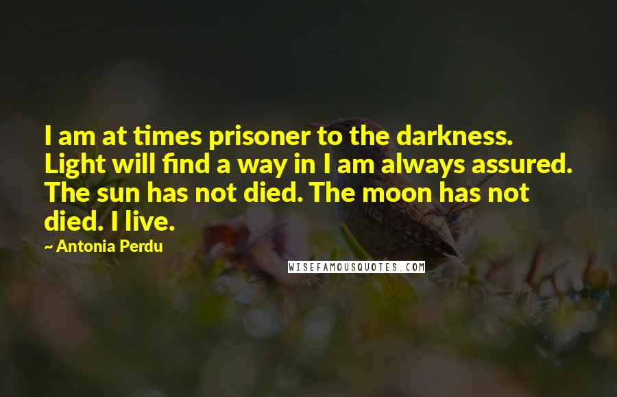 Antonia Perdu Quotes: I am at times prisoner to the darkness. Light will find a way in I am always assured. The sun has not died. The moon has not died. I live.