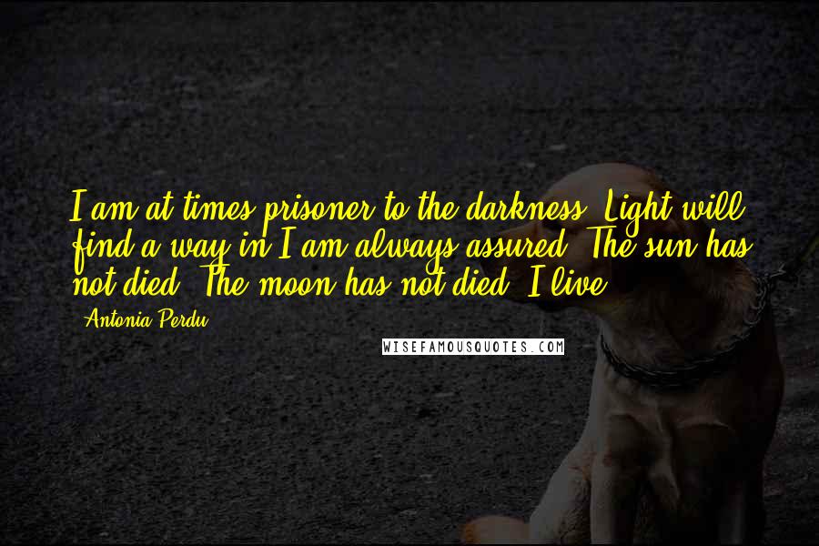 Antonia Perdu Quotes: I am at times prisoner to the darkness. Light will find a way in I am always assured. The sun has not died. The moon has not died. I live.