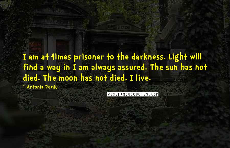 Antonia Perdu Quotes: I am at times prisoner to the darkness. Light will find a way in I am always assured. The sun has not died. The moon has not died. I live.