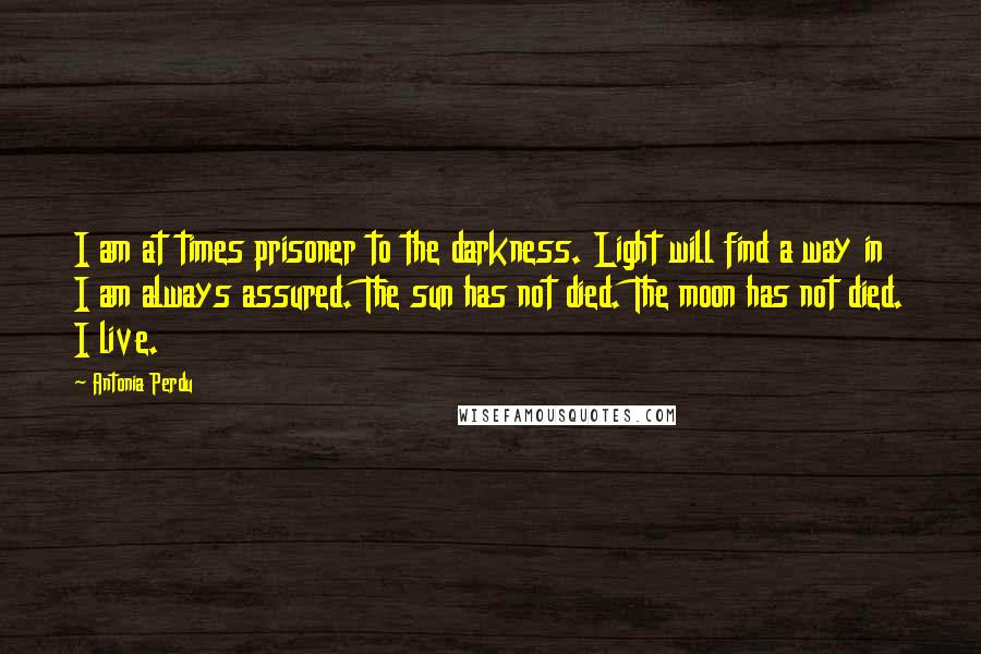 Antonia Perdu Quotes: I am at times prisoner to the darkness. Light will find a way in I am always assured. The sun has not died. The moon has not died. I live.