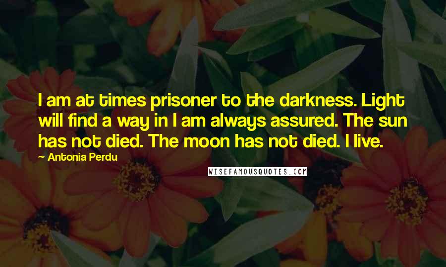 Antonia Perdu Quotes: I am at times prisoner to the darkness. Light will find a way in I am always assured. The sun has not died. The moon has not died. I live.