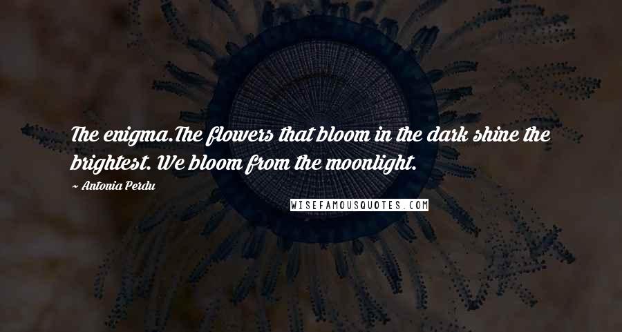 Antonia Perdu Quotes: The enigma.The flowers that bloom in the dark shine the brightest. We bloom from the moonlight.