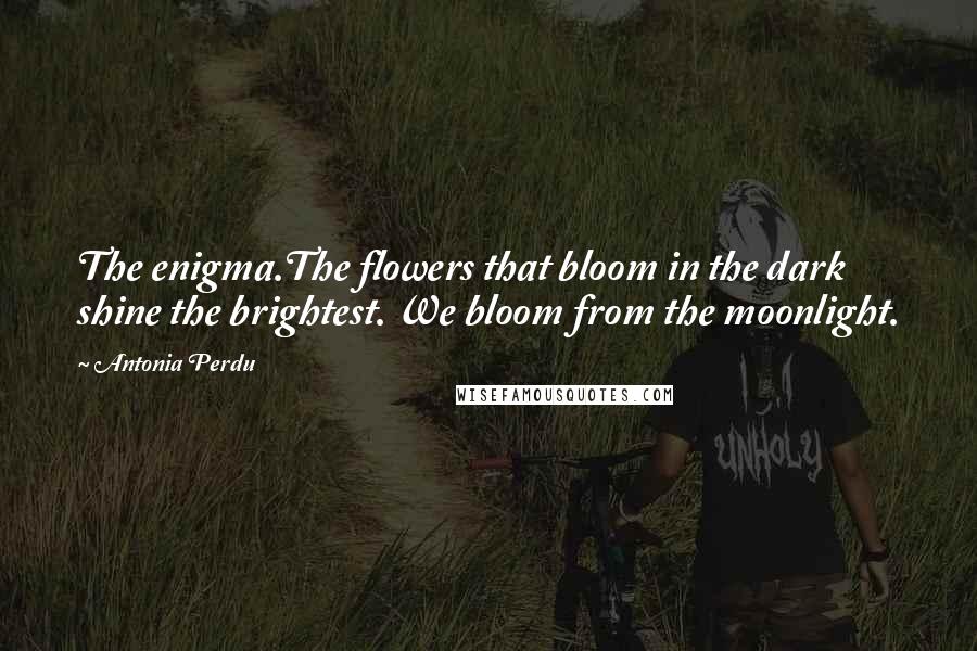 Antonia Perdu Quotes: The enigma.The flowers that bloom in the dark shine the brightest. We bloom from the moonlight.