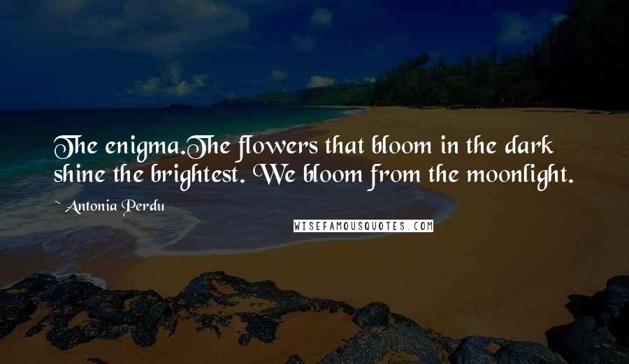 Antonia Perdu Quotes: The enigma.The flowers that bloom in the dark shine the brightest. We bloom from the moonlight.