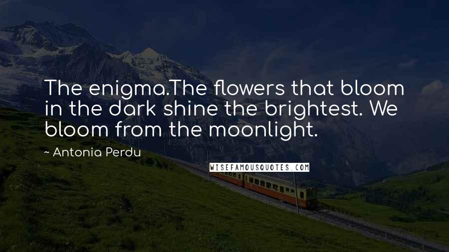 Antonia Perdu Quotes: The enigma.The flowers that bloom in the dark shine the brightest. We bloom from the moonlight.