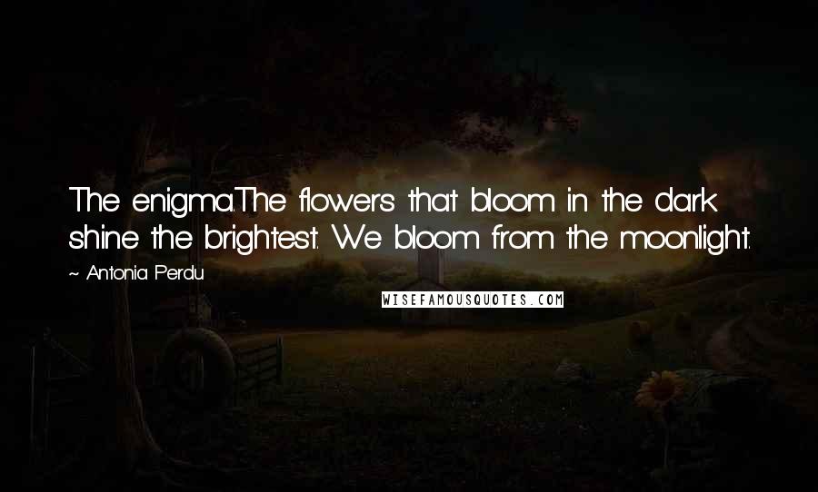 Antonia Perdu Quotes: The enigma.The flowers that bloom in the dark shine the brightest. We bloom from the moonlight.