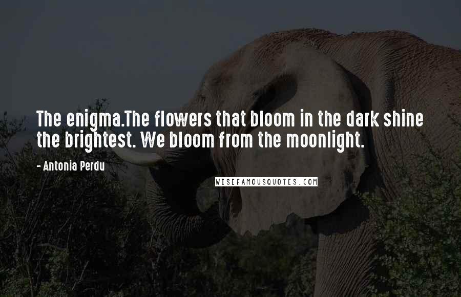 Antonia Perdu Quotes: The enigma.The flowers that bloom in the dark shine the brightest. We bloom from the moonlight.