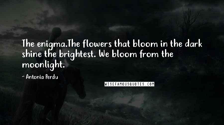 Antonia Perdu Quotes: The enigma.The flowers that bloom in the dark shine the brightest. We bloom from the moonlight.