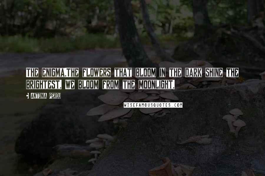 Antonia Perdu Quotes: The enigma.The flowers that bloom in the dark shine the brightest. We bloom from the moonlight.