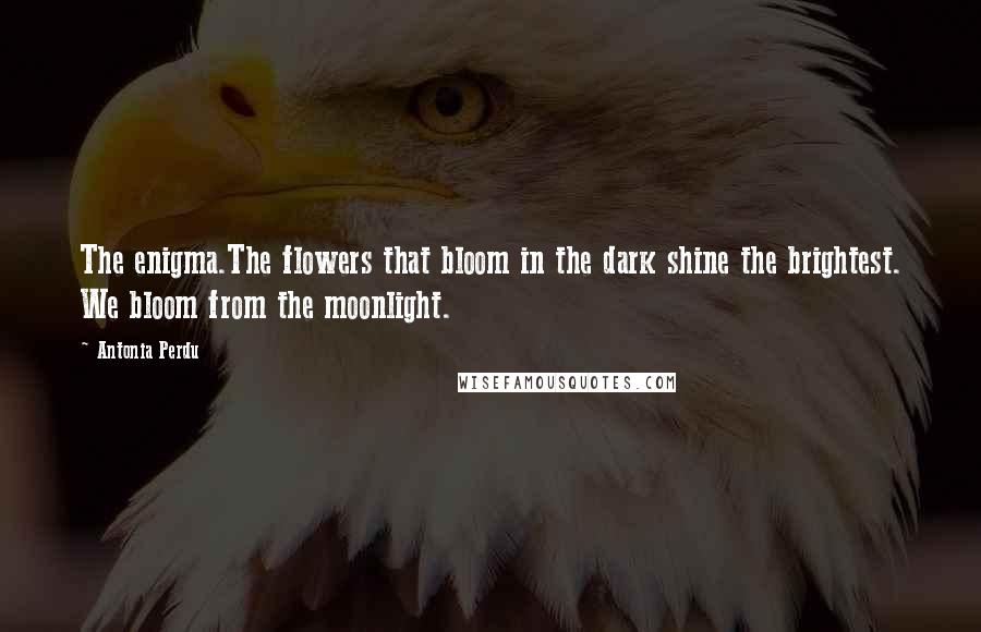 Antonia Perdu Quotes: The enigma.The flowers that bloom in the dark shine the brightest. We bloom from the moonlight.