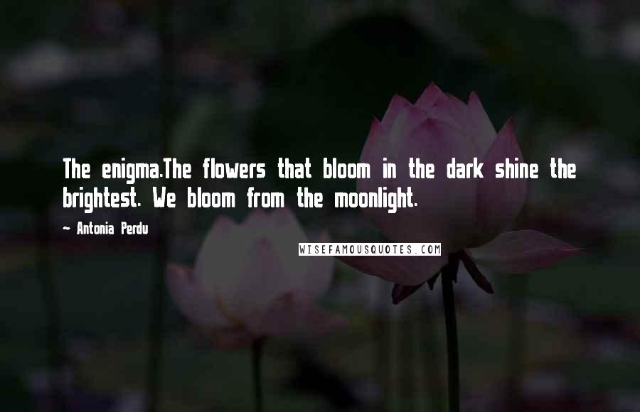 Antonia Perdu Quotes: The enigma.The flowers that bloom in the dark shine the brightest. We bloom from the moonlight.