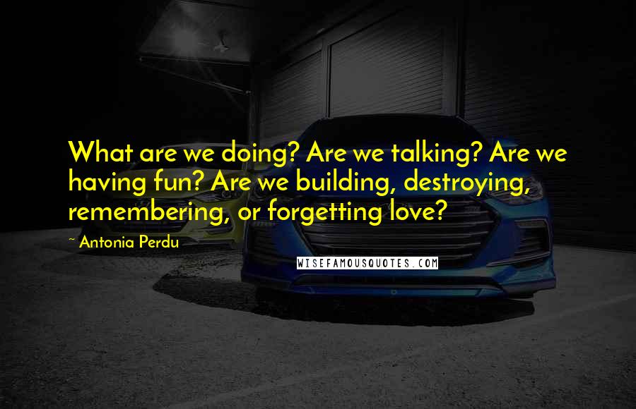 Antonia Perdu Quotes: What are we doing? Are we talking? Are we having fun? Are we building, destroying, remembering, or forgetting love?