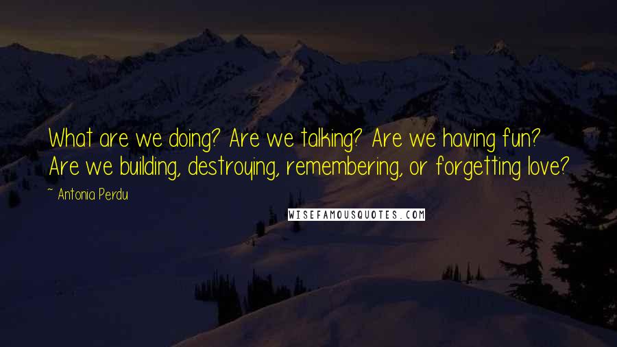 Antonia Perdu Quotes: What are we doing? Are we talking? Are we having fun? Are we building, destroying, remembering, or forgetting love?