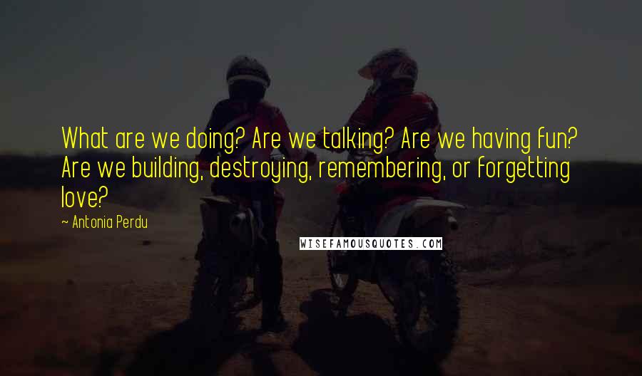 Antonia Perdu Quotes: What are we doing? Are we talking? Are we having fun? Are we building, destroying, remembering, or forgetting love?