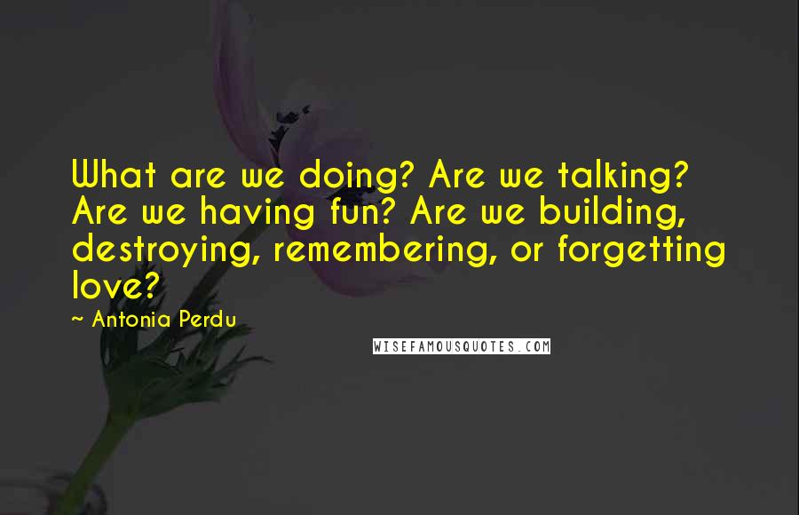 Antonia Perdu Quotes: What are we doing? Are we talking? Are we having fun? Are we building, destroying, remembering, or forgetting love?