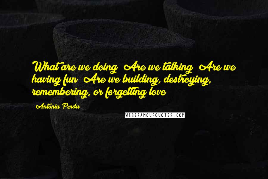 Antonia Perdu Quotes: What are we doing? Are we talking? Are we having fun? Are we building, destroying, remembering, or forgetting love?