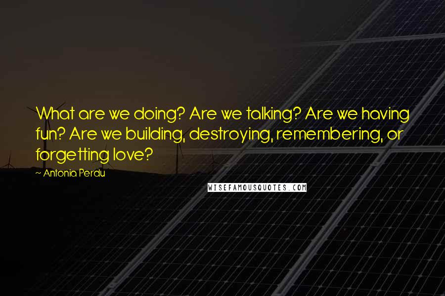 Antonia Perdu Quotes: What are we doing? Are we talking? Are we having fun? Are we building, destroying, remembering, or forgetting love?