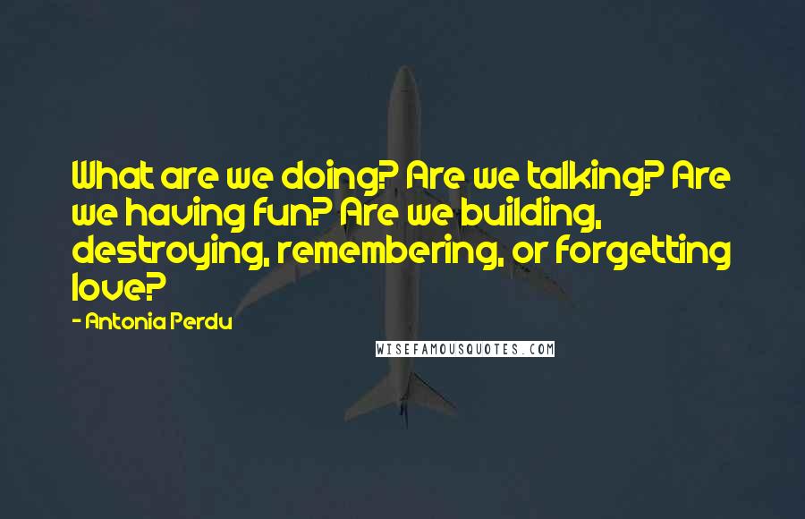 Antonia Perdu Quotes: What are we doing? Are we talking? Are we having fun? Are we building, destroying, remembering, or forgetting love?