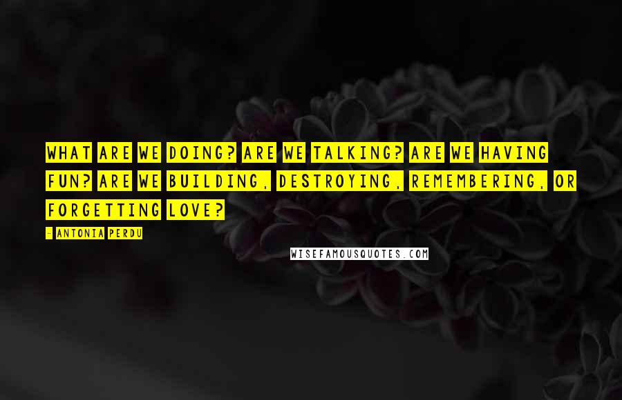 Antonia Perdu Quotes: What are we doing? Are we talking? Are we having fun? Are we building, destroying, remembering, or forgetting love?