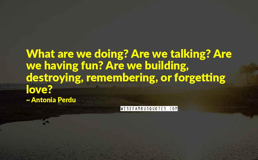 Antonia Perdu Quotes: What are we doing? Are we talking? Are we having fun? Are we building, destroying, remembering, or forgetting love?